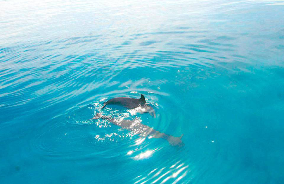 Морская прогулка( все в одном)