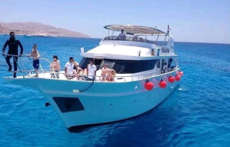 Сурер Эль-Гуна на яахте ( Египетская Венеция )