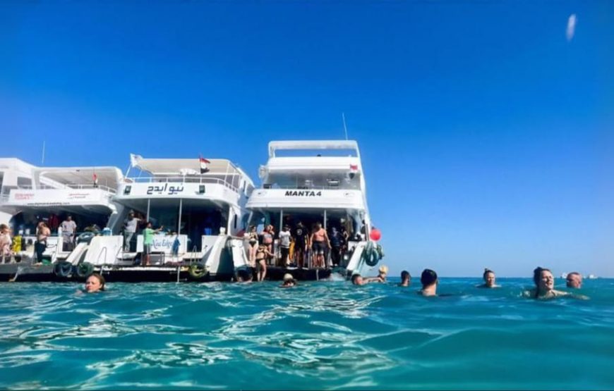 Дайвинг в Марса- Алам