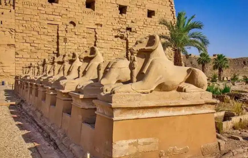 Экскурсия в Луксор на самолёте (Мини-группа из Хургады)