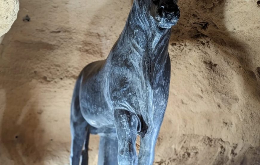 Экскурсия на пирамиды в Каир+Александрию из Хургады( автобус ) на 2 дня