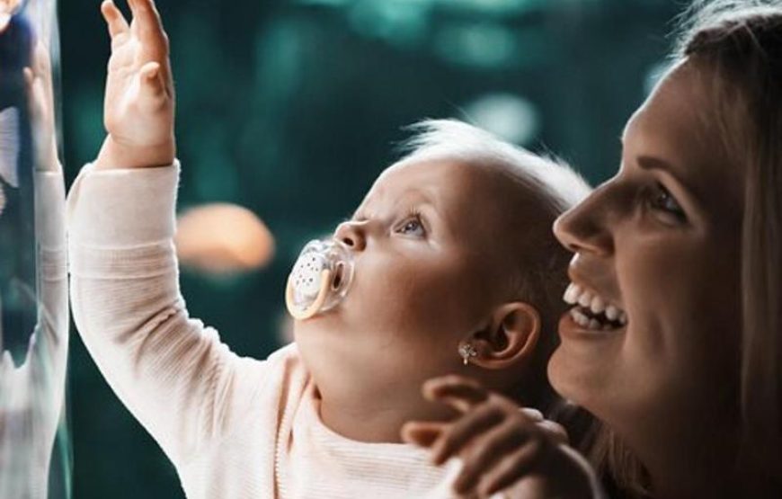 Гранд Аквариум в Хургаде