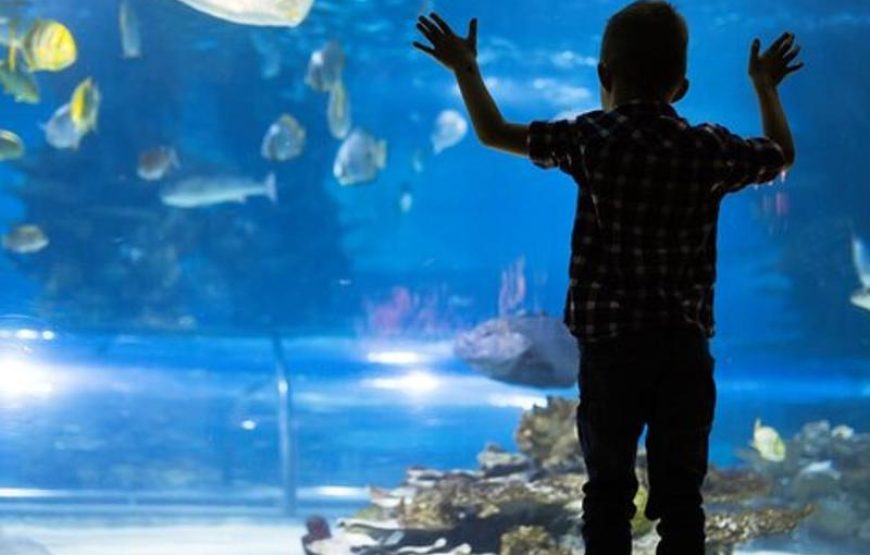 Гранд Аквариум в Хургаде