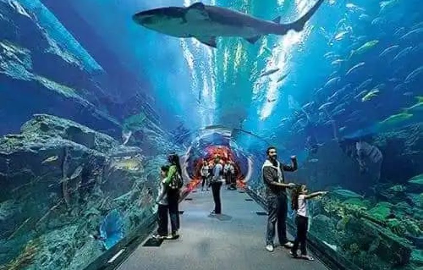 Гранд Аквариум в Хургаде