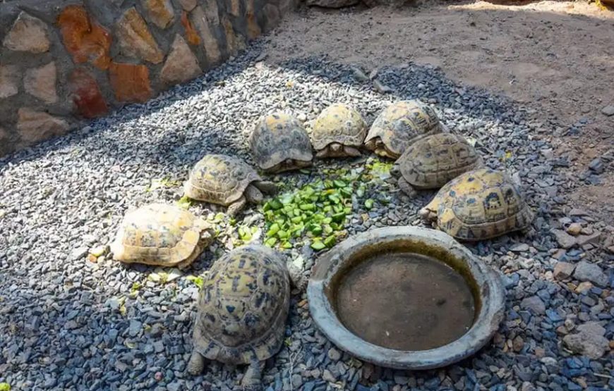 Гранд Аквариум в Хургаде