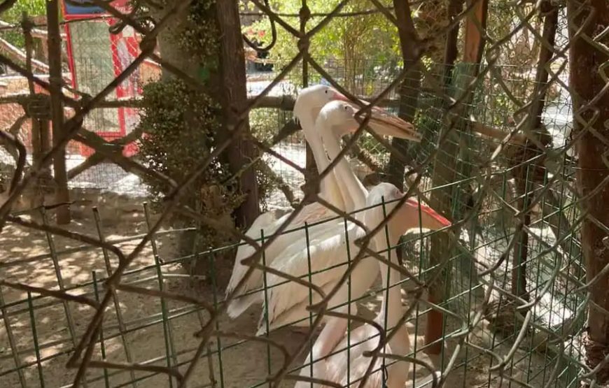 Гранд Аквариум в Хургаде