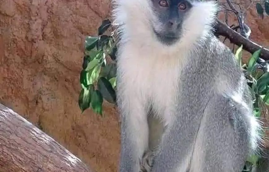 Гранд Аквариум в Хургаде