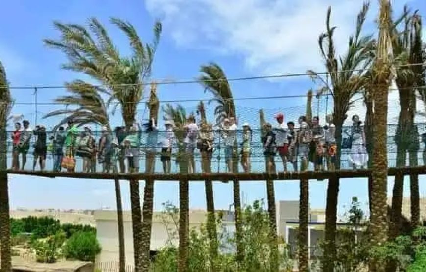 Гранд Аквариум в Хургаде