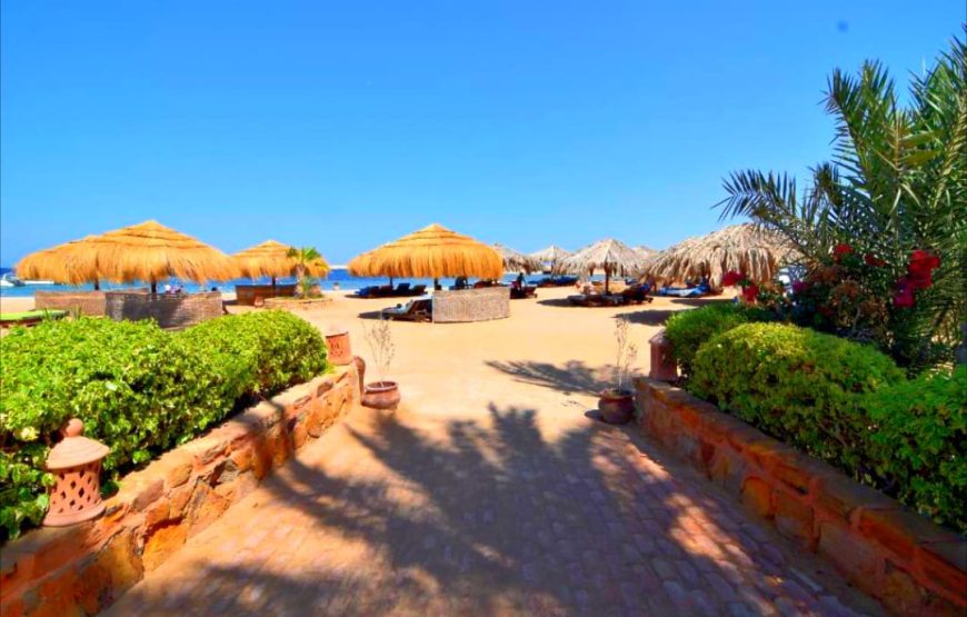 Шарм-Эль-Нага -коралловый заповедник в Сома-бей