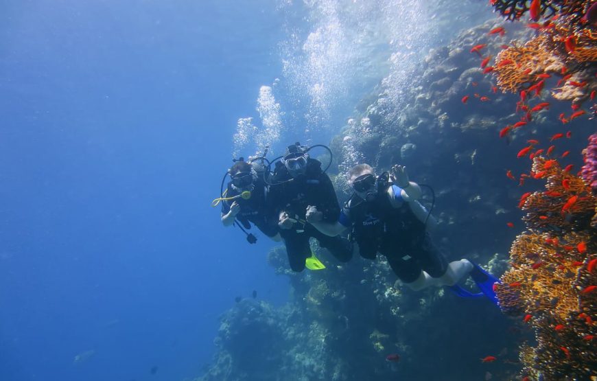 Шарм-Эль-Нага -коралловый заповедник в Сома-бей