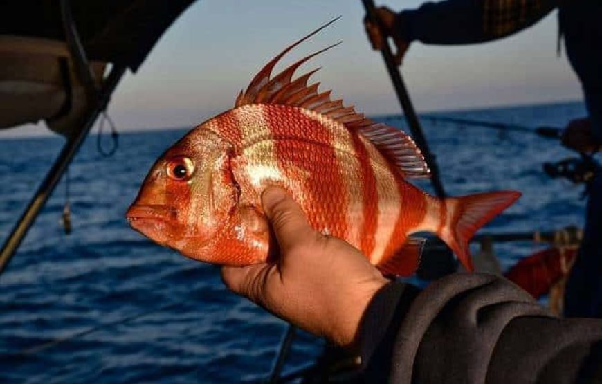 Экскурсия на рыбалке в Хургаде