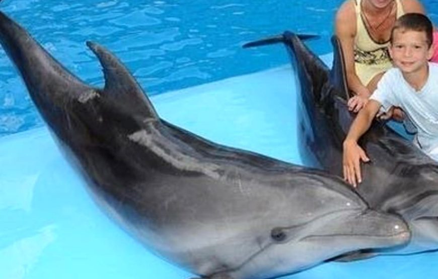 Дельфинарий  в Шарм эль Шейхе