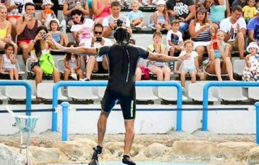 Дельфинарий в Хургаде