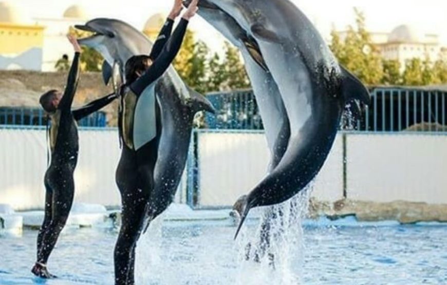 Дельфинарий в Хургаде