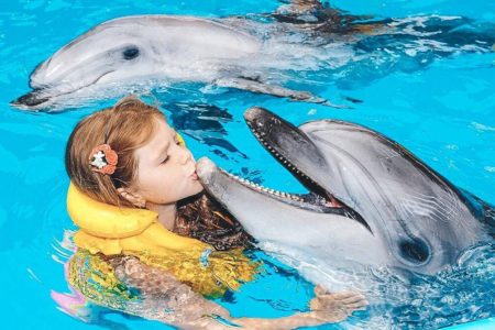 Дельфинарий в Хургаде