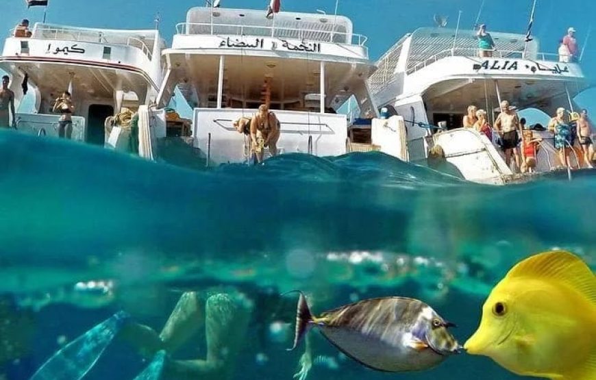 Остров оранж ( Египетские мальдивы ) + Дайвинг