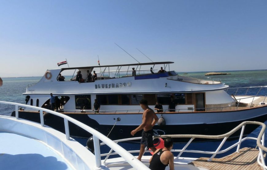 Бухта дельфинов в Хургаде