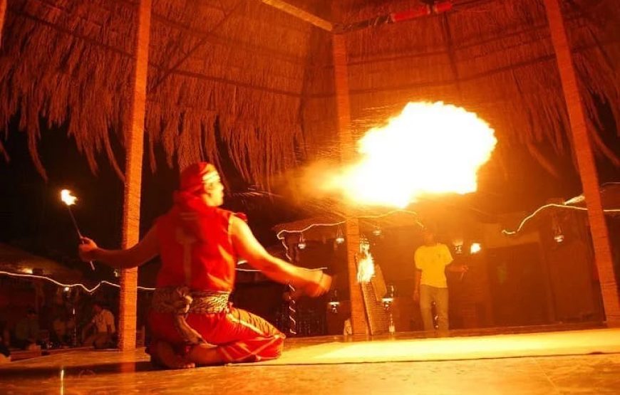 Супер — сафари для всей семьи