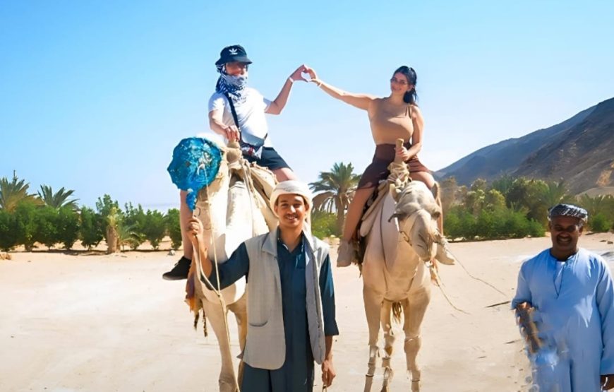 Нстоящий оазис, каньоны и бедуинская семья