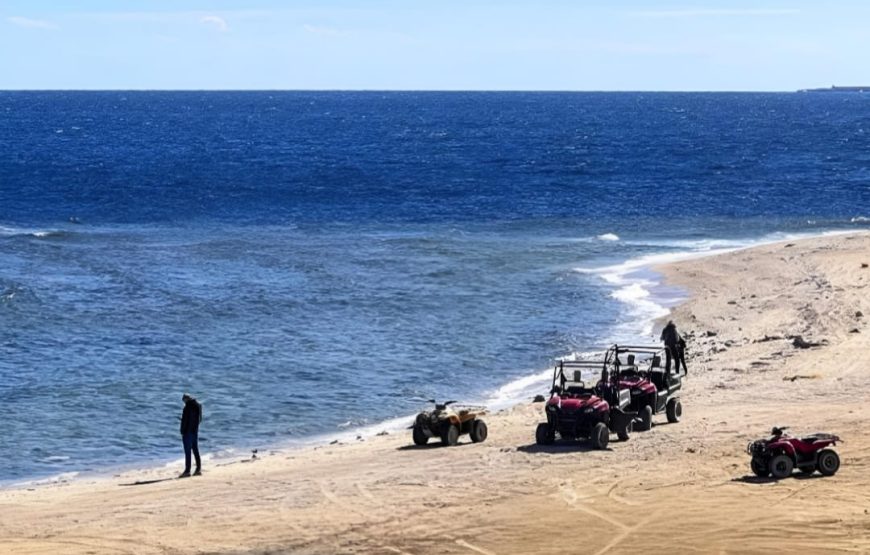 Багги или Квадро к морю (Макади)