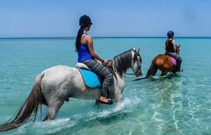 Купание на лошадях в море+ прогулка