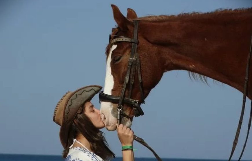 Купание на лошадях в море+ прогулка