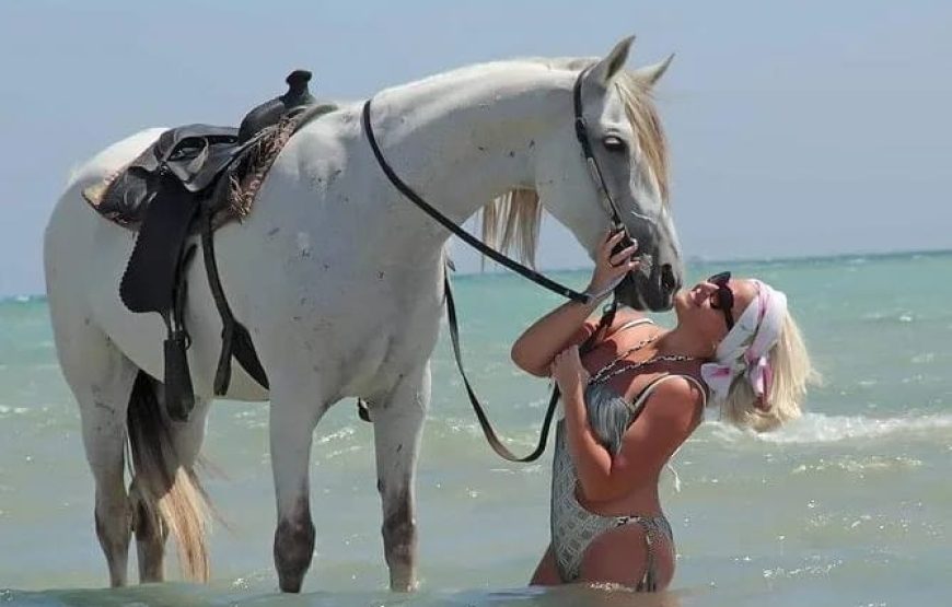 Купание на лошадях в море+ прогулка