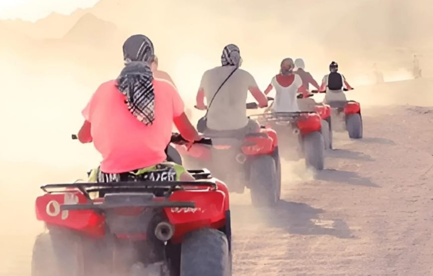 Супер — сафари для всей семьи