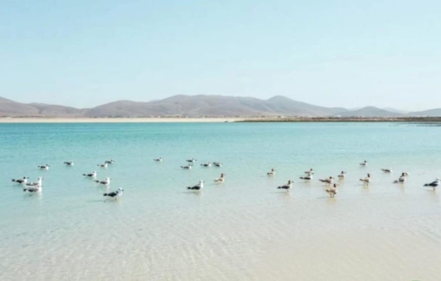 Белый остров и вечерняя Хургада