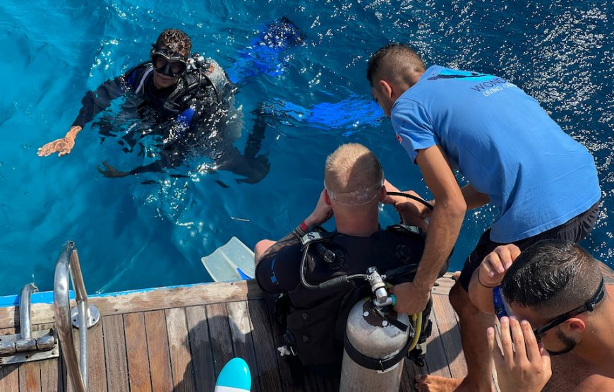 Дайвинг  на весь день (2 погружения од 15мин )