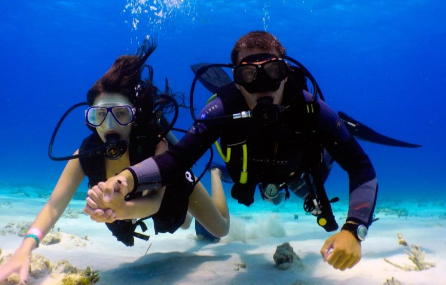 Дайвинг в Марса- Алам