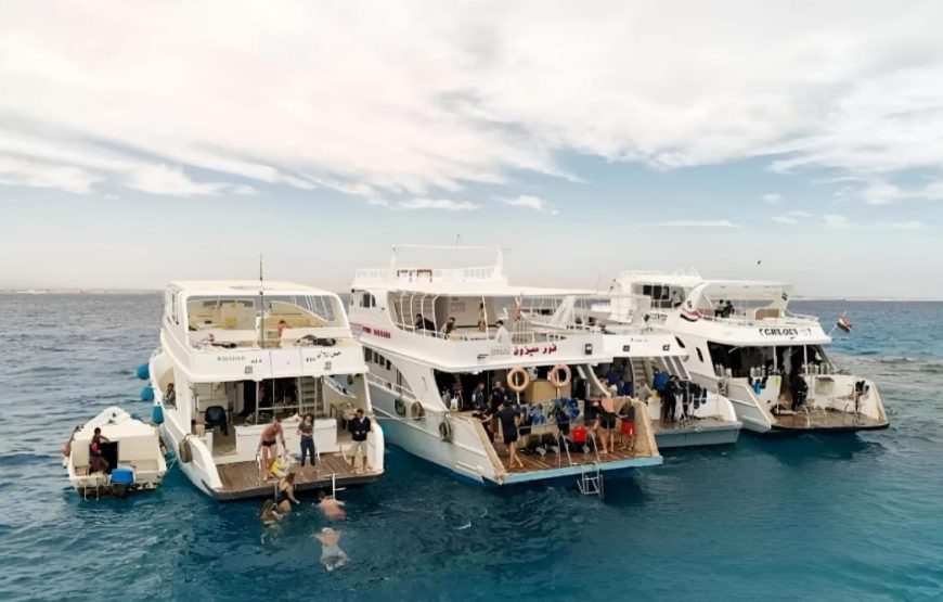 Заповедник Марса- Мубарка ( в Марса-Алам)