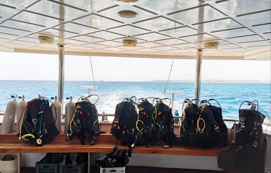 Дайвинг в Марса- Алам