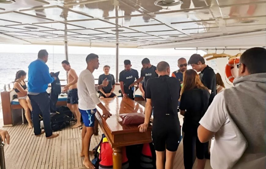 Дайвинг в Марса- Алам