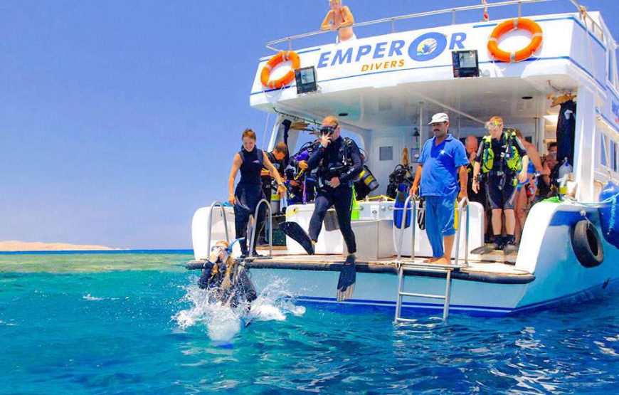 Дайвинг в Марса- Алам