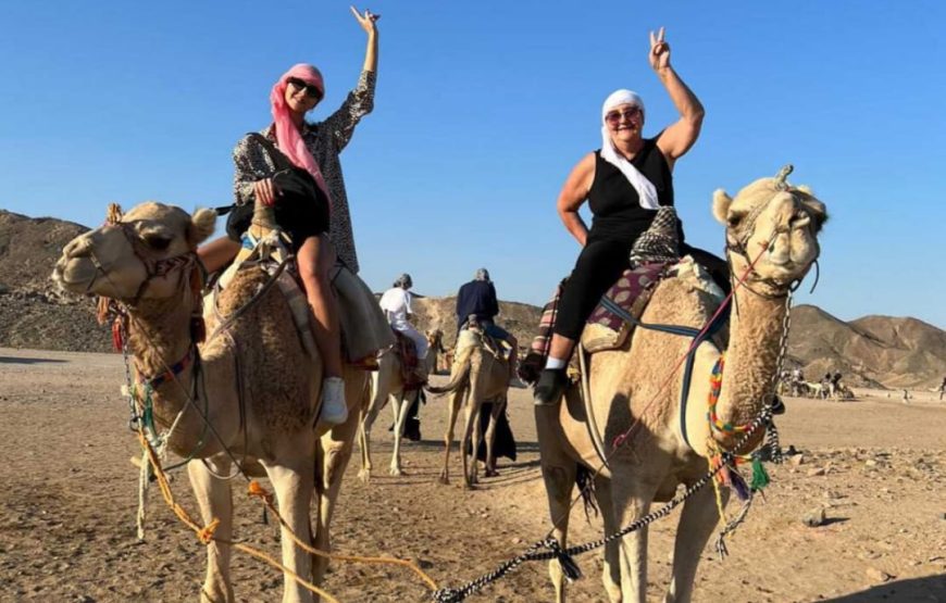 Мото- сафари на квадроциклах 3часа