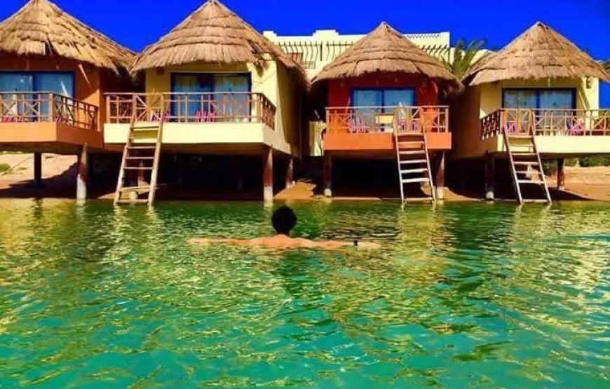 Фото прогулка и обзор по Эль Гуне