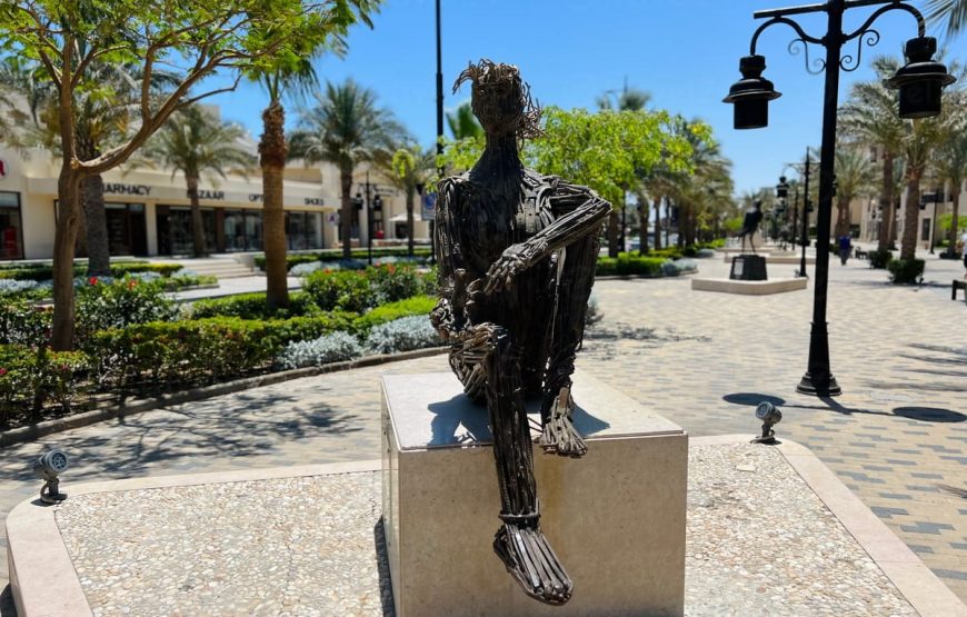 Индивидуальный городской по Хургаде (разные программы )