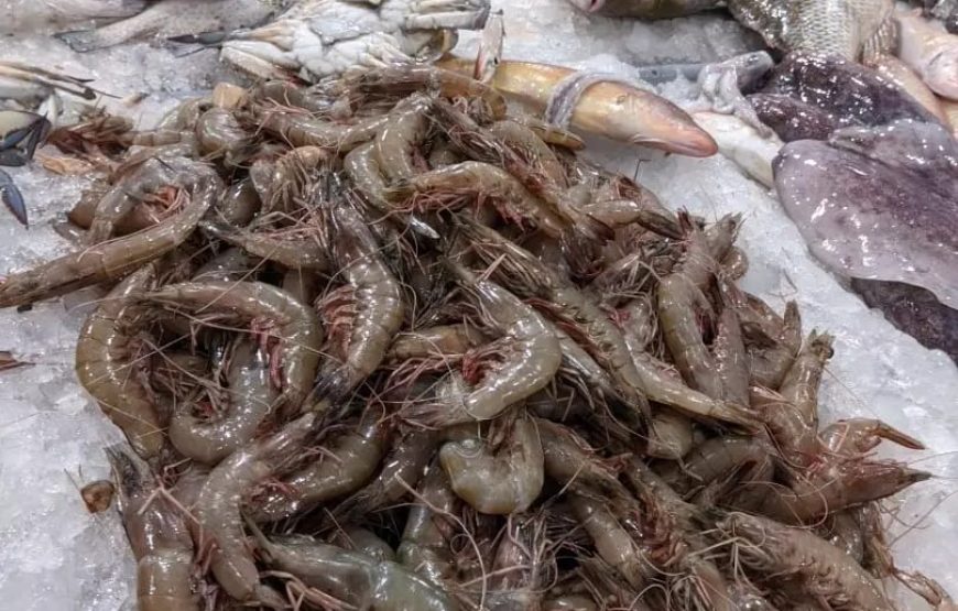 Обзорная экскурсия по Хургаде ( Индивидуалный)