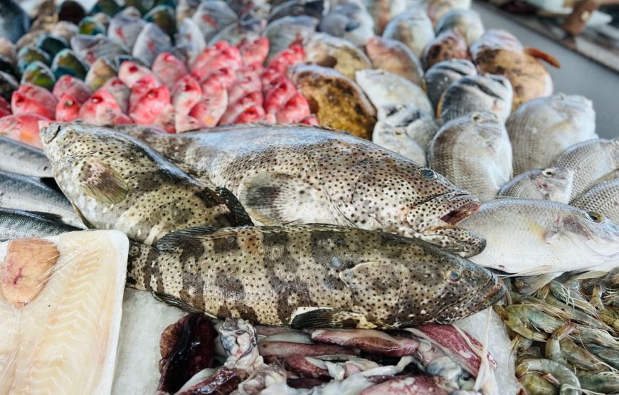 Обзорная экскурсия по Хургаде ( Индивидуалный)