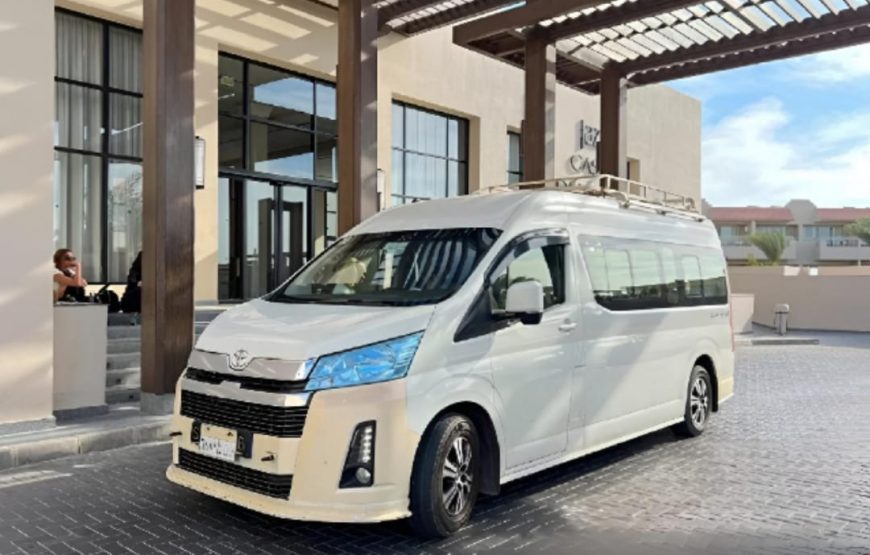 Экскурсия в Луксор на самолёте (Мини-группа из Хургады)