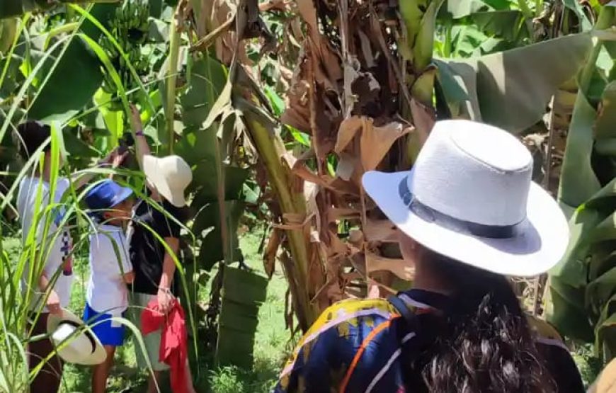 Луксор из Шарма( на самолете )