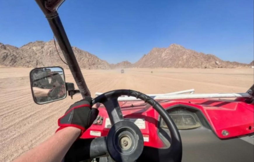 Супер-сафари для всей семьи в Марса-Алам