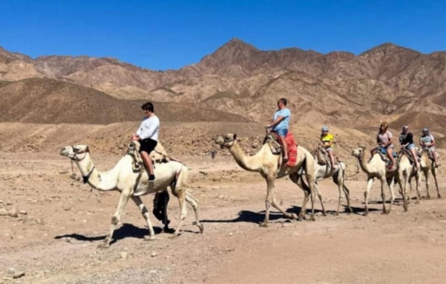 Мото- сафари ( квадроцикы ) в Марса -Алам