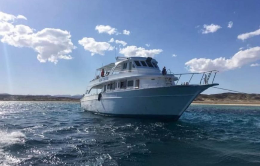 Дом дельфинов ( риф Сатайя ) в Марса-Алам