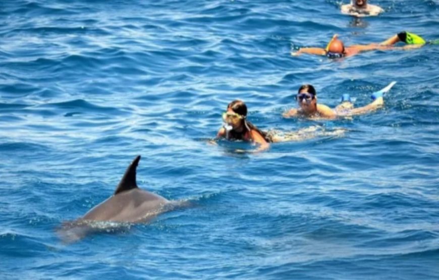 Дом дельфинов ( риф Сатайя ) в Марса-Алам