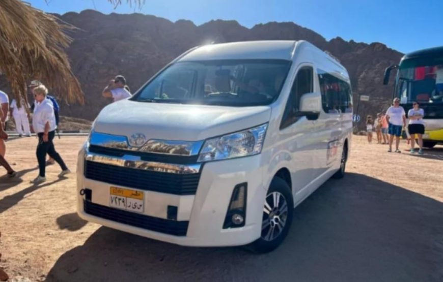 Дом дельфинов ( риф Сатайя ) в Марса-Алам