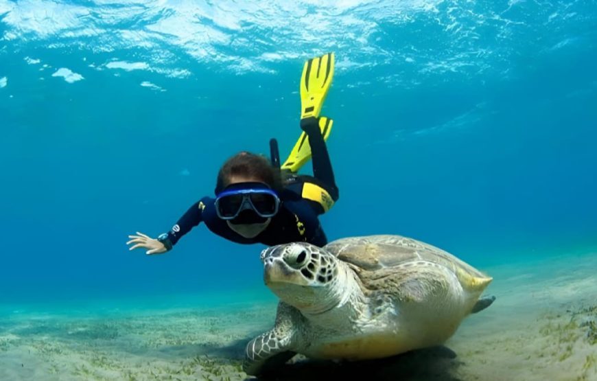 Заповедник Марса- Мубарка ( в Марса-Алам)