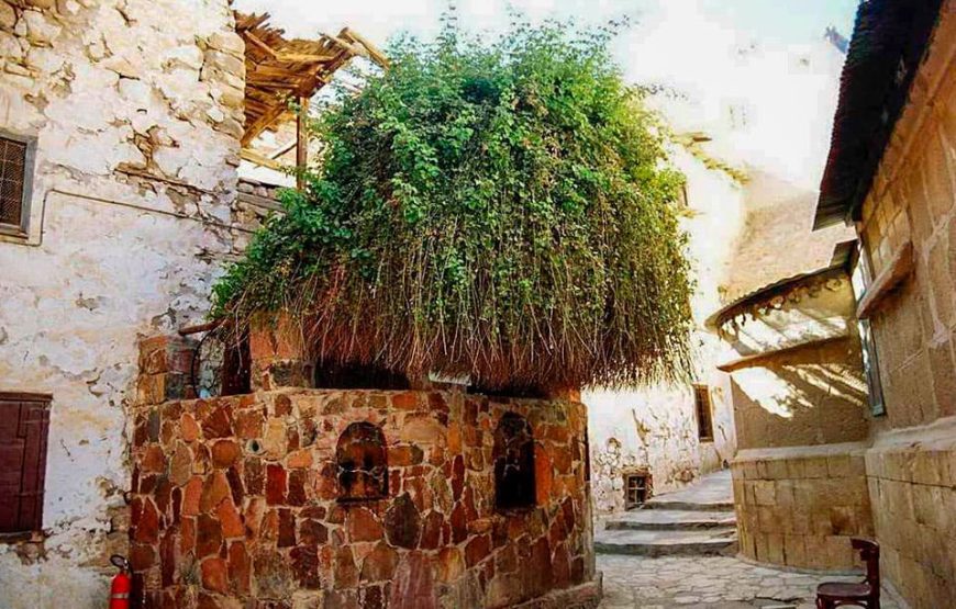 Монастырь Святой Екатерины