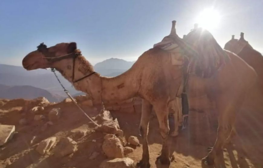 Гора Моисея и монастырь Св. Екатерины